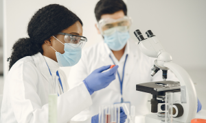 cientistas avaliando e estudando perigos químicos relacionados a carcinogenicidade, mutagenicidade e toxicidade reprodutiva