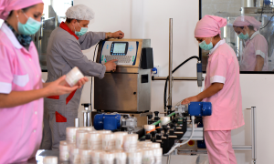 fabricação de produtos artesanais em pequena indústria