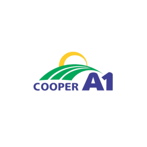 Cooper A1